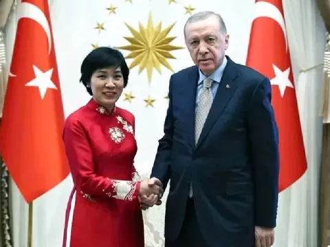 Tăng cường hợp tác Việt Nam - Thổ Nhĩ Kỳ