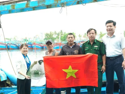 Bình Định: Xem xét cấm biển vô thời hạn tàu cá chây ì trong chống khai thác IUU