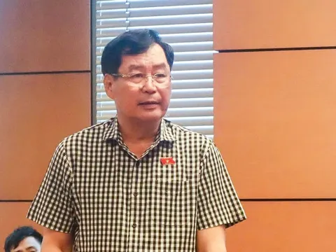 Sửa Hiến pháp: Đề nghị làm rõ mối quan hệ giữa Mặt trận Tổ quốc với các tổ chức chính trị - xã hội