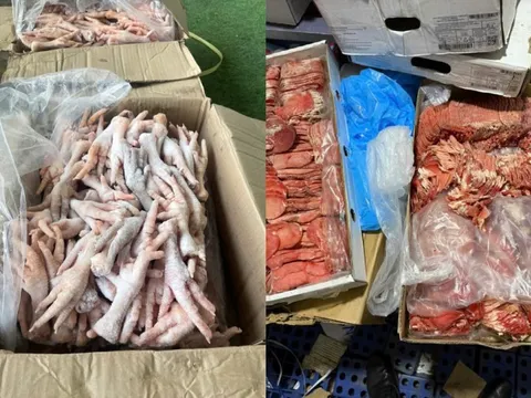 Lâm Đồng: Thu giữ hơn 2,5 tấn thực phẩm đông lạnh không rõ nguồn gốc