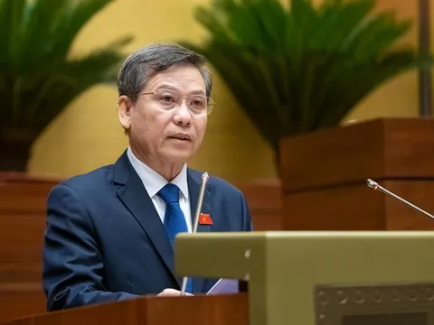 Đề xuất thành lập Tòa án nhân dân khu vực, Tòa chuyên trách về Phá sản, Sở hữu trí tuệ