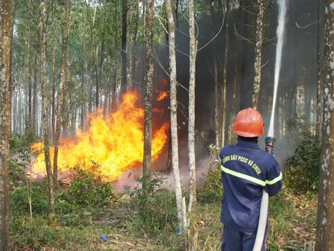 Các địa phương chủ động ứng phó cháy rừng mùa nắng nóng