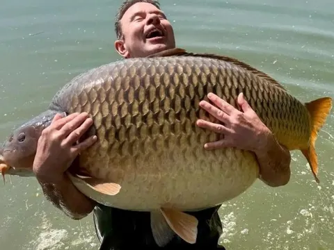 Người đàn ông sốc nặng khi bắt được con cá chép khổng lồ nặng 48kg