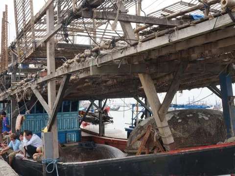 Quảng Nam tăng tốc chống khai thác IUU, sẵn sàng đón Đoàn thanh tra EC lần thứ 5