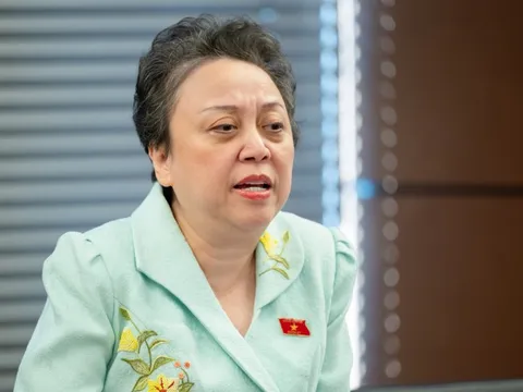 ĐBQH: Thanh tra mà báo trước thì đơn vị không "vở sạch chữ đẹp" mới lạ