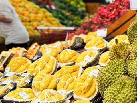 Chuẩn hóa hệ thống tiêu chuẩn kỹ thuật cho ngành hàng sầu riêng