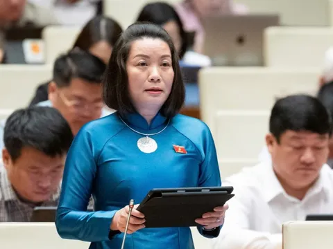 Cần đưa sản phẩm nhựa sử dụng 1 lần, túi ni lông vào diện chịu thuế tiêu thụ đặc biệt