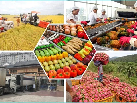 Bảo đảm sản xuất, tiêu thụ, xuất khẩu nông lâm thủy sản trong bối cảnh biến động thương mại toàn cầu