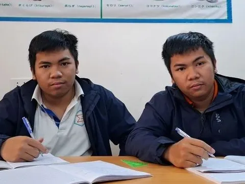 Anh em sinh đôi ở Quảng Nam cùng giành Huy chương Vàng Olympic Toán