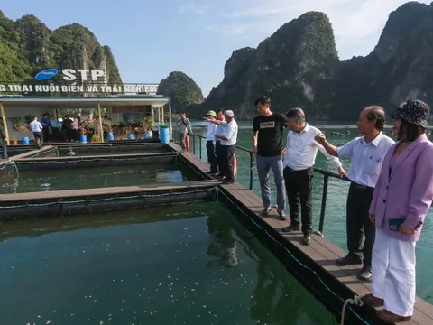 Phát triển nông nghiệp xanh bền vững cần sự chung tay của cộng đồng