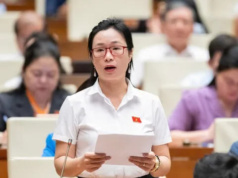 Từ vụ lòng xe điếu, sữa giả, kẹo Kera: Xử lý triệt để việc quảng cáo gian dối