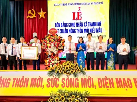Xã Thanh Mỹ, thị xã Sơn Tây đón Bằng công nhận đạt chuẩn nông thôn mới kiểu mẫu