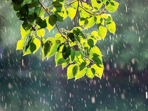 Ảnh hưởng không khí lạnh, miền Bắc có mưa vừa, mưa to và dông