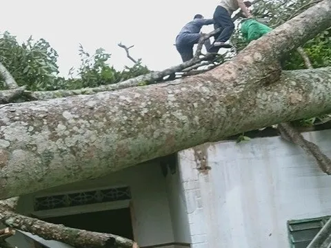 Hà Tĩnh: Giông lốc làm sập mái hàng chục ngôi nhà