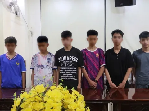 Bắt nhóm thanh thiếu niên gây ra hàng loạt vụ trộm