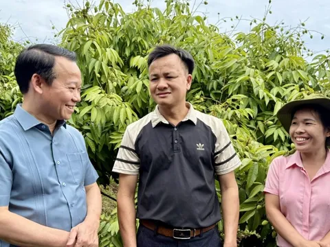 Sẵn sàng cho vụ vải thiều 2025