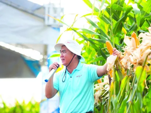 Ứng dụng công nghệ sinh học thúc đẩy khoa học chọn tạo giống