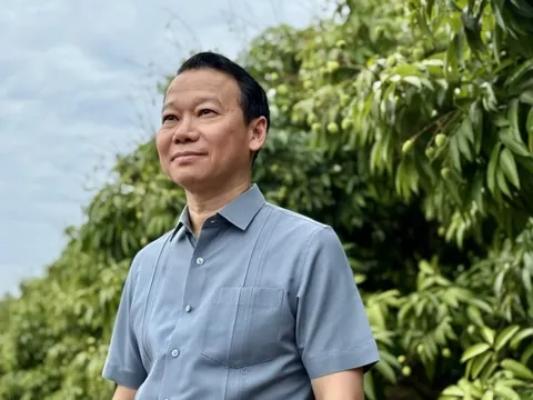 Tăng cường liên kết chuỗi và chế biến nâng cao giá trị quả vải