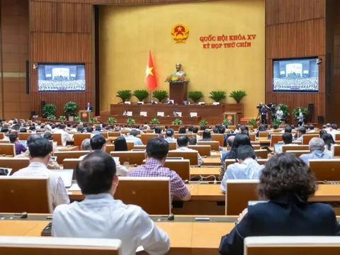 Nhà nước không can thiệp trực tiếp vào hoạt động của doanh nghiệp