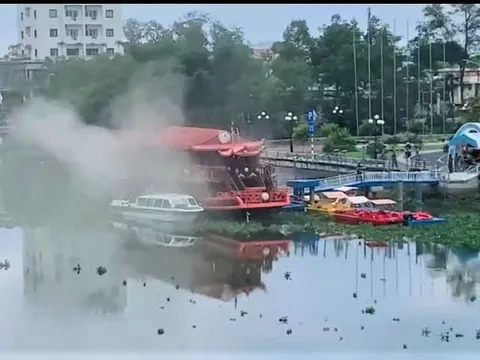 Chuột cắn dây điện gây cháy du thuyền