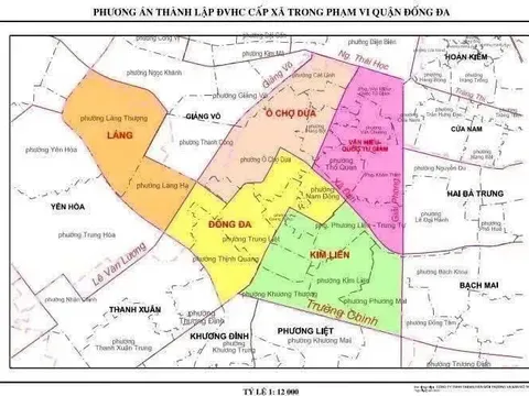 Giải quyết các vấn đề liên quan đến sắp xếp đơn vị hành chính