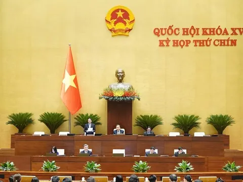 Chấp nhận rủi ro trong khoa học là cần thiết nhưng phải có tiêu chí đánh giá rõ ràng