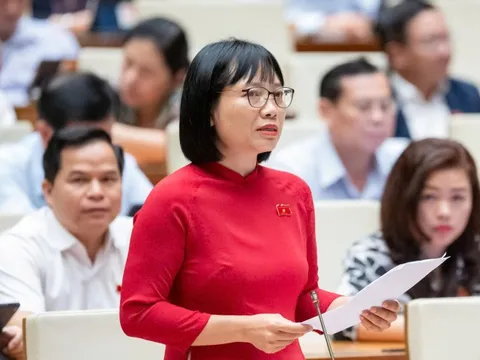 "Không thể phát hiện người tài bằng hồ sơ, bằng cấp, hay qua kỳ thi hình thức"