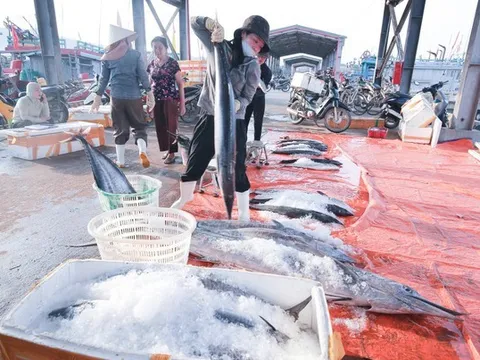 “Cùng ngư dân thắp sáng đèn trên biển” chung tay tháo gỡ thẻ vàng IUU