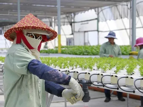 Cảnh giác với thông tin tuyển lao động đi Israel: Bộ Nội vụ ra khuyến cáo