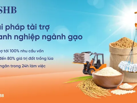SHB ra mắt giải pháp tài trợ linh hoạt cho ngành gạo