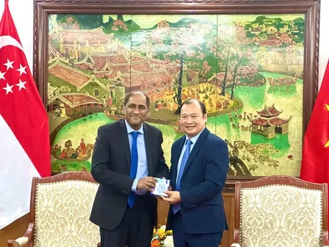 Việt Nam - Singapore: Tăng cường hợp tác văn hóa, thể thao, du lịch và thông tin