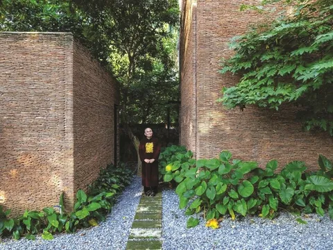 Không gian “chữa lành” của nghệ sĩ Việt