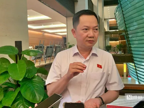 Từ vụ cán bộ Cục An toàn thực phẩm bị bắt: Sự suy thoái, biến chất của cấp quản lý