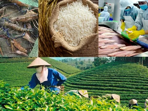 Việt Nam - Senegal tăng cường kết nối giao thương: Mở rộng cánh cửa cho nông sản, thực phẩm