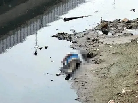 Điều tra vụ phát hiện thi thể nam giới trên sông Tô Lịch