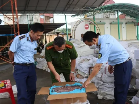 Mở đợt cao điểm ngăn chặn, đẩy lùi buôn lậu, gian lận thương mại từ 15/5 đến 15/6/2025