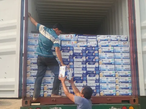 Khởi tố, bắt tạm giam nữ cán bộ hải quan tiếp tay buôn lậu sữa