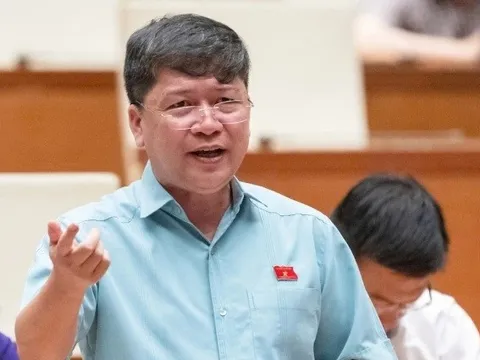 'Luồng gió thổi cánh diều kinh tế tư nhân bay xa'