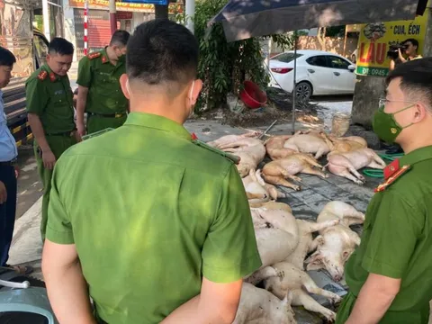 Mở đợt cao điểm đấu tranh, ngăn chặn buôn lậu, hàng giả trên toàn quốc từ ngày 15/5 đến 15/6