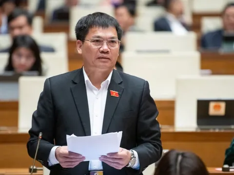 Cần dựng hàng rào chống nạn "xâm lăng" của hàng nhập khẩu kém chất lượng