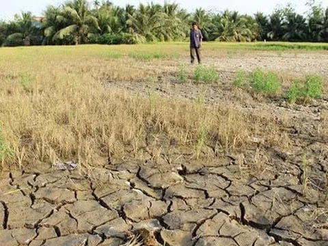 Ứng dụng công nghệ số xây dựng bản đồ hạn hán