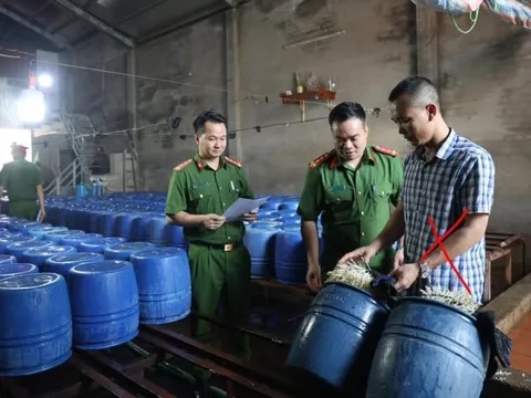 Khởi tố chủ cơ sở đã bán hơn 60 tấn giá đỗ ngâm chất kích thích tăng trưởng ra thị trường