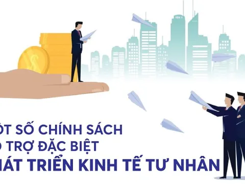 Infographics: Một số chính sách hỗ trợ đặc biệt phát triển kinh tế tư nhân