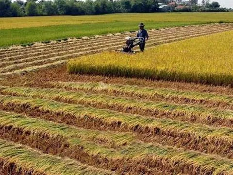 Thủ tục gia hạn sử dụng khi hết thời hạn sử dụng đất theo quy định mới nhất