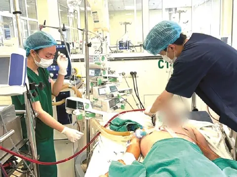 Sởi ở người lớn