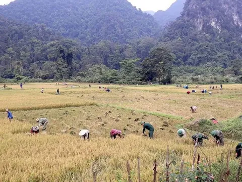 Giám sát chặt nguồn nước để ứng phó khô hạn, đảm bảo sản xuất