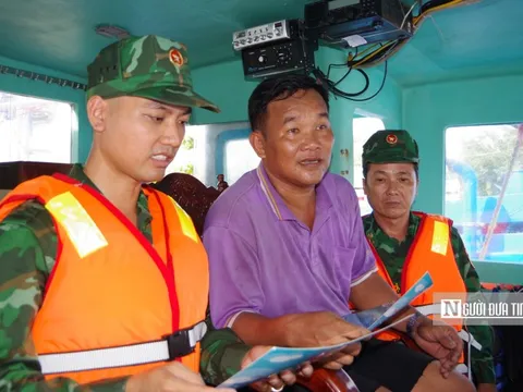 Bình Định xử phạt 10 thuyền trưởng tàu cá vi phạm quy định trong khai thác thủy sản