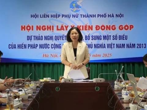 4,3 triệu ý kiến góp ý sửa đổi, bổ sung Hiến pháp 2013 trên ứng dụng VNeID