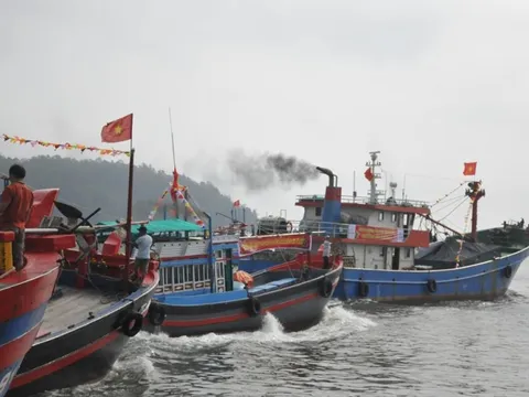 TP. Huế: Xử lý triệt để tàu cá bốc dỡ hàng tại cảng chưa được chỉ định