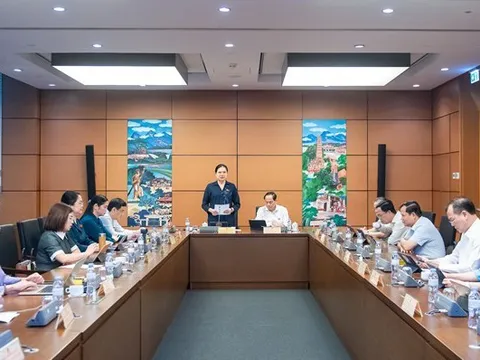 ĐBQH đề nghị tăng mạnh chế tài hình sự, xử nặng tội sản xuất, buôn bán hàng giả